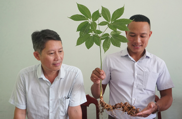 Chuyện những người soi… sâm! -0
