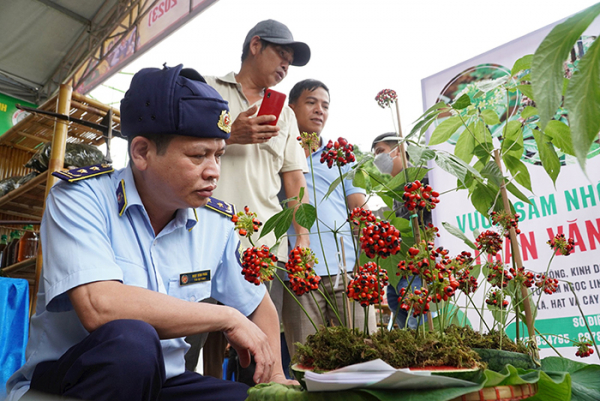 Chuyện những người soi… sâm! -0