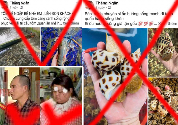 Khởi tố cặp vợ chồng “chốt đơn” hải sản ảo -0
