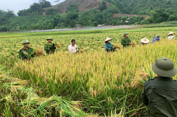 1.niềm vui một vụ mùa bội thu được nhân lên khi cbcs xuống đồng giúp dân..jpg -0