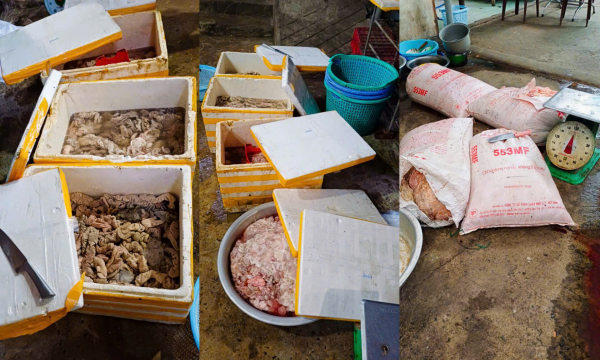 Đà Nẵng: Kiểm tra môi trường 