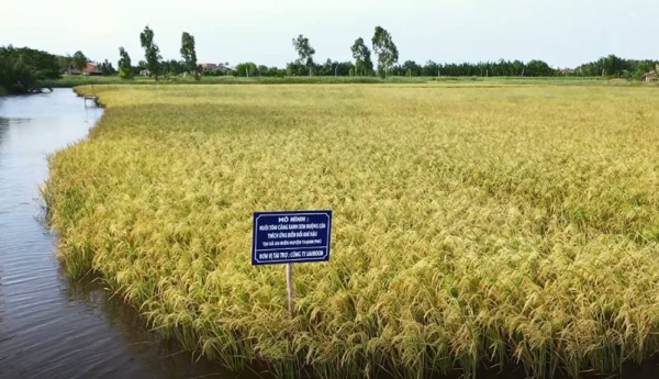 Bến Tre – “bàn đạp” chiến lược cho tăng trưởng mới của tỉnh Vĩnh Long sau sáp nhập -0