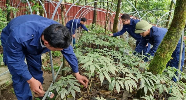 Cần có sự liên kết chặt chẽ giữa sản xuất, chế biến, bảo quản và tiêu thụ nông sản -0