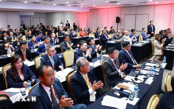 Đối tác Chiến lược Việt Nam-Brazil: 