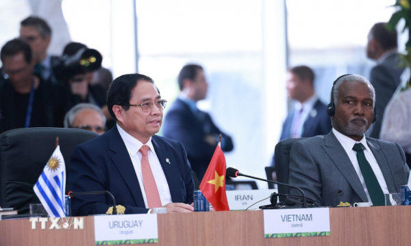 Thủ tướng nêu 5 đề xuất vì môi trường, y tế toàn cầu tại Hội nghị BRICS -0