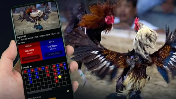 Philippines quyết dẹp trò đá gà ăn tiền trực tuyến -0