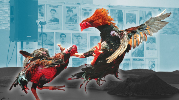 Philippines quyết dẹp trò đá gà ăn tiền trực tuyến -0