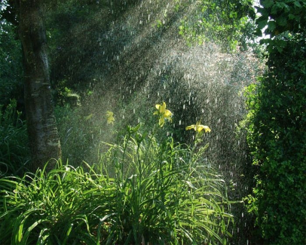 Miền Bắc nắng gián đoạn, nhiều nơi có mưa; Trung Bộ trời nóng -0