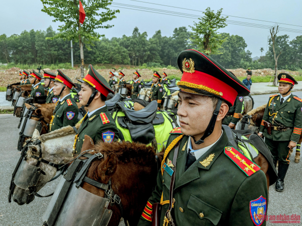 Kỵ binh CAND rèn ý chí trên thao trường 