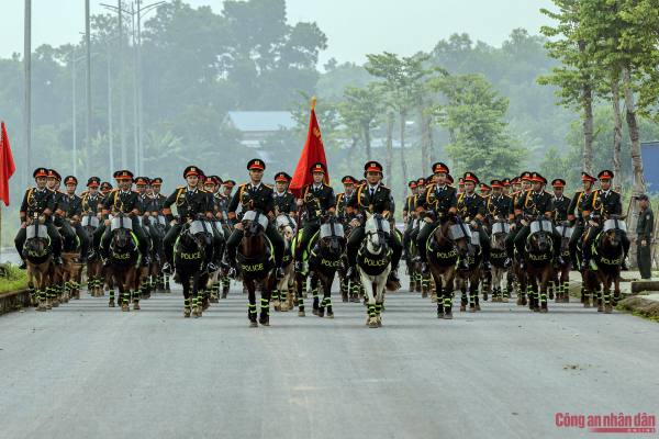 Kỵ binh CAND rèn ý chí trên thao trường 