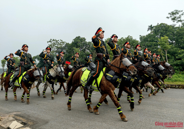 Kỵ binh CAND rèn ý chí trên thao trường 