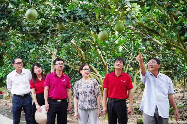 Dòng vốn Agribank tiếp sức cho kinh tế nông hộ phát triển bền vững -0
