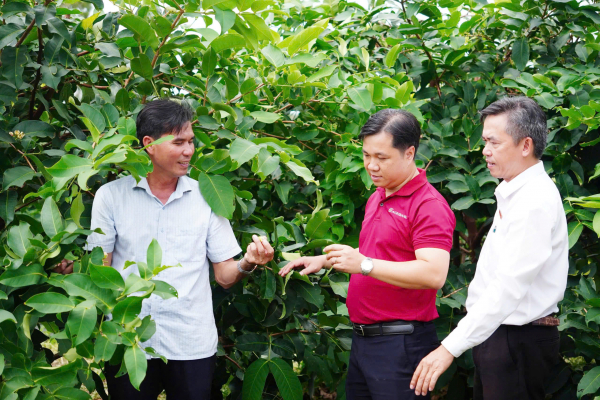 Dòng vốn Agribank tiếp sức cho kinh tế nông hộ phát triển bền vững -0
