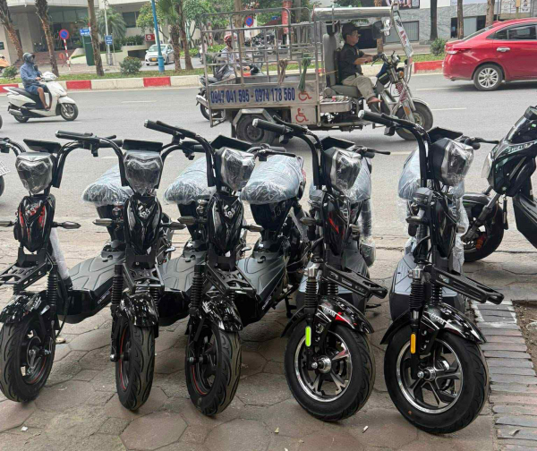 Bỏ tiền thật mua xe điện giả -0