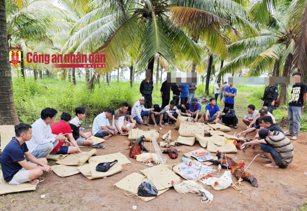 Triệt phá trường gà sát phạt hai trận trên 1,6 tỷ đồng -0