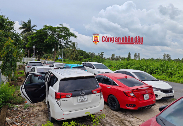 Triệt phá trường gà sát phạt hai trận trên 1,6 tỷ đồng -2