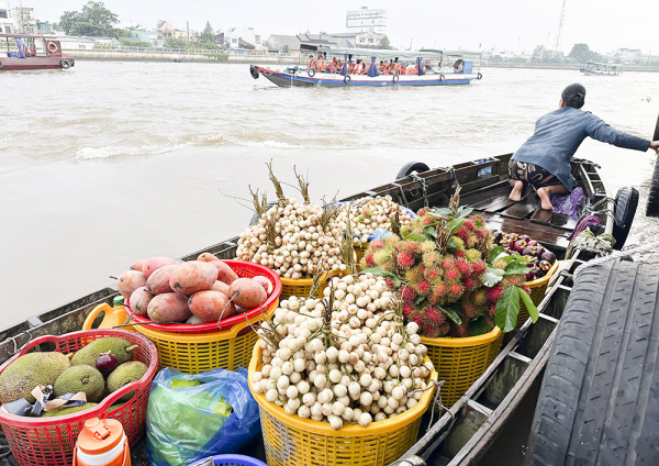 Một thoáng Tây Đô -1