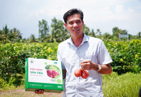 Agribank tiếp vốn cho mận hồng Sân Tiên chinh phục thị trường khó tính -0