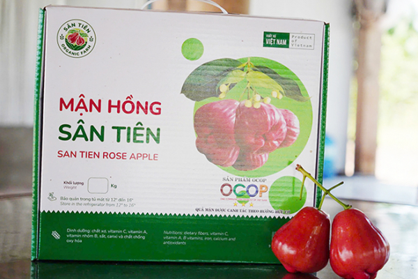 Agribank tiếp vốn cho mận hồng Sân Tiên chinh phục thị trường khó tính -0