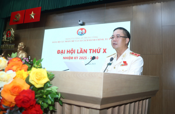 Phát huy vai trò “tư lệnh” trên mặt trận xây dựng, hoàn thiện thể chế, pháp luật về ANTT -0