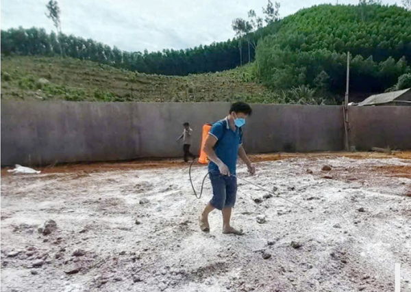 Bắt giữ, tiêu hủy hơn 100 tấn heo đông lạnh đã bốc mùi, nổi đốm trên da -0