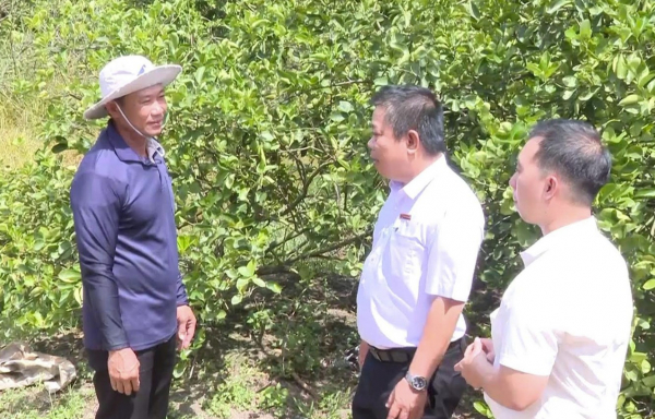 Vốn Agribank, đòn bẩy cho nông hộ -0