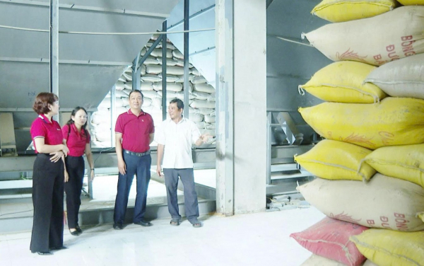 p3.jpg -1
