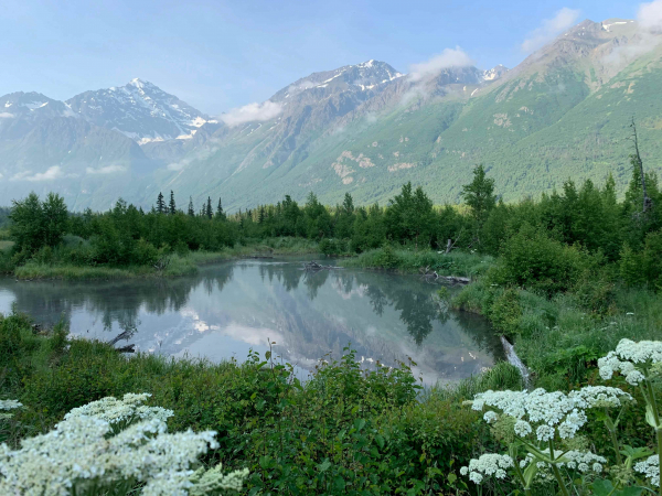 Alaska: Vùng đất lạnh lẽo nhưng kỳ thú bậc nhất nước Mỹ -0