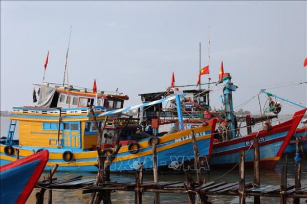 Tàu cá nằm bờ vì tàu một đằng, giấy phép một nẻo -0