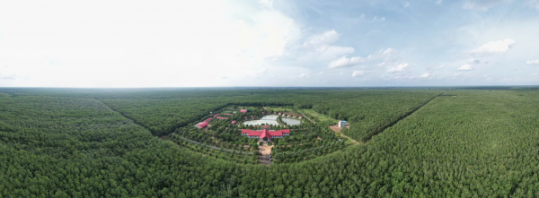 VRG đáp ứng EUDR, tiên phong chứng nhận cao su phát thải thấp -0