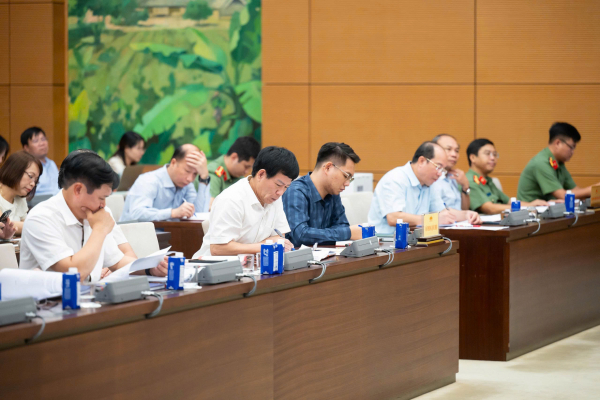 Phòng ngừa, đấu tranh có hiệu quả đối với tội phạm và vi phạm pháp luật -0