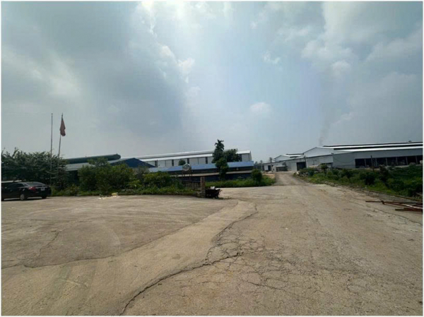 Xử phạt Hợp tác xã sản xuất giấy Phù Ninh, Phú Thọ -0