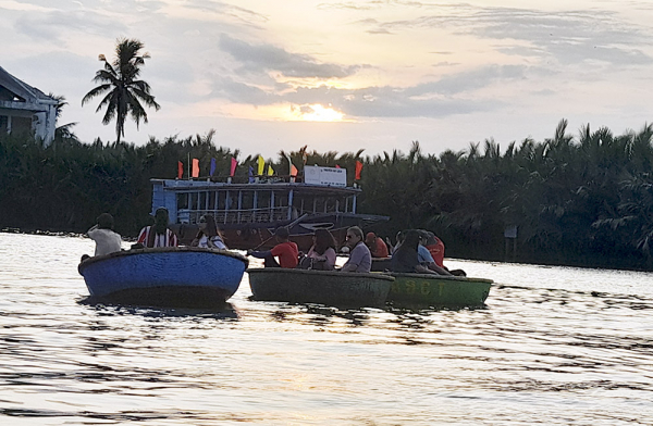 Ngát xanh rừng dừa xứ Quảng -1