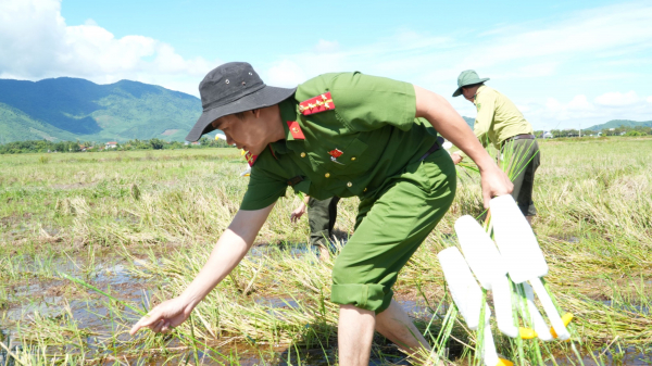 Nhức nhối nạn giăng bẫy săn bắt, buôn bán chim trời -0