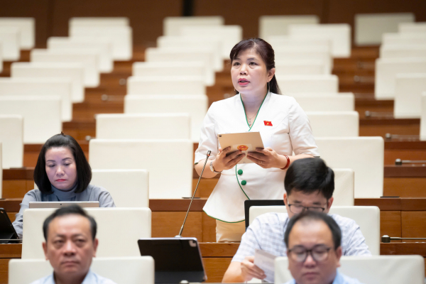 Đại biểu Quốc hội hoạt động chuyên trách cho ý kiến về các luật thuộc lĩnh vực quốc phòng, an ninh, đối ngoại, giám sát -0