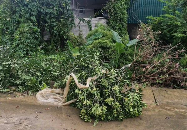 Hải Phòng lại xuất hiện lốc xoáy, nhiều nhà dân bị thiệt hại -0