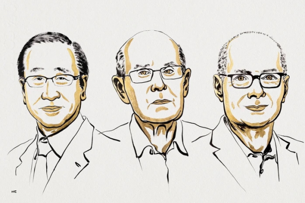 Nobel Hoá học 2025 vinh danh phát minh khung kim loại hữu cơ -0