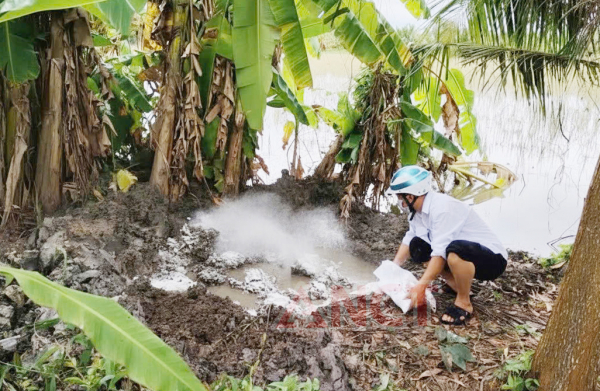 Phát hiện vụ giết mổ, mua bán thịt nhiễm dịch tả lợn châu Phi -0