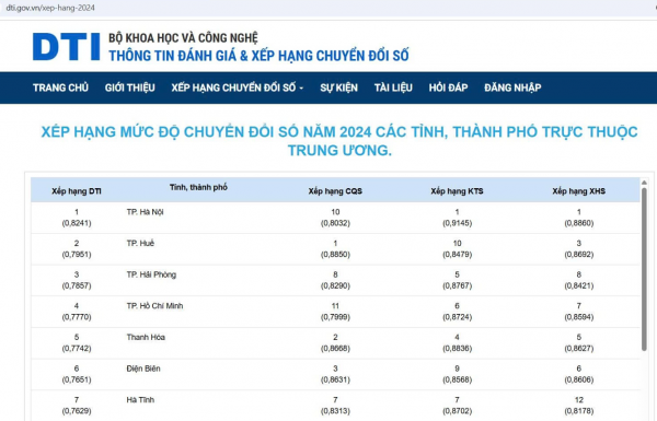 TP Hồ Chí Minh giữ vững nhóm dẫn đầu cả nước về chỉ số chuyển đổi số (DTI) -1