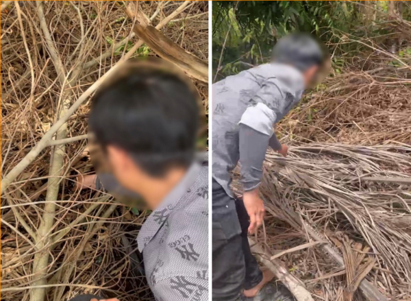 Phát hiện 2 vụ rao bán bán súng hơi trên mạng xã hội -0