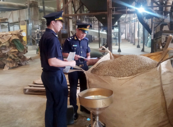 Hiện thực hóa hải quan thông minh -0