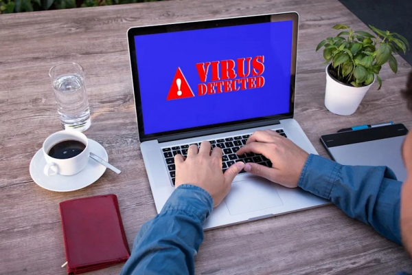 DetourDog - “Bóng ma” ẩn sau 30.000 trang web -0