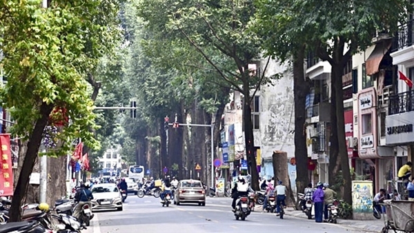 Nghe cây sao kể chuyện phố, chuyện đời