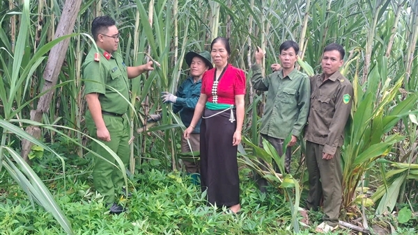 Ba_Tong_Thi_Phach_Muong_Te-1762000946018.jpg