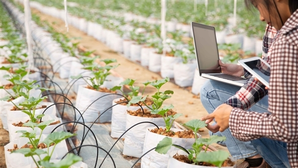 Doanh nghiệp công nghệ “xắn tay” phát triển nông nghiệp