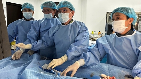 Bệnh viện 30-4 đặt thành công máy tạo nhịp tim không dây cứu sống cụ bà 83 tuổi