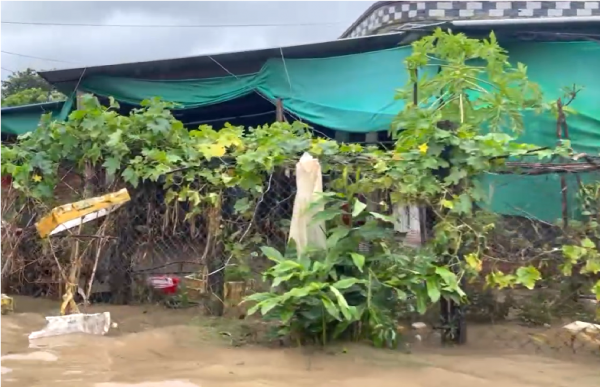 Thêm 4 người tử vong ở Đắk Lắk do mưa lũ, địa phương đề nghị hỗ trợ khẩn cấp 2.000 tấn lương thực -0