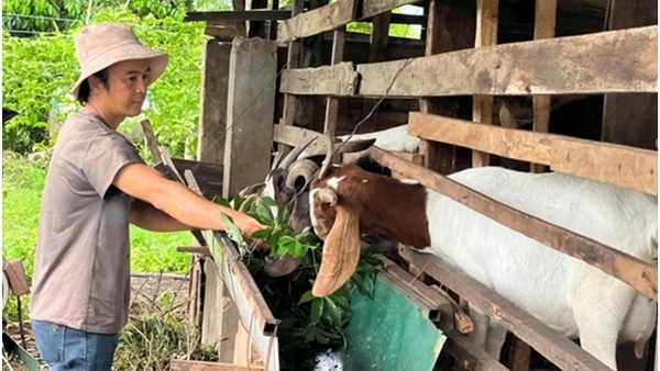 Xã Ea M’Droh tạo sinh kế bền vững từ Chương trình 1719