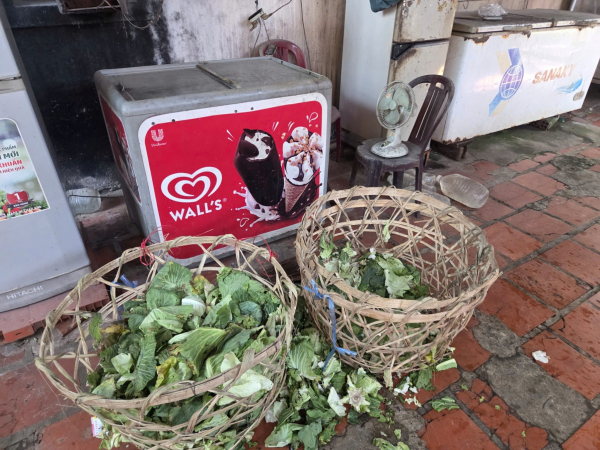 Phát hiện một cơ sở nuôi nhốt nhiều động vật hoang dã ở TP Hồ Chí Minh -4