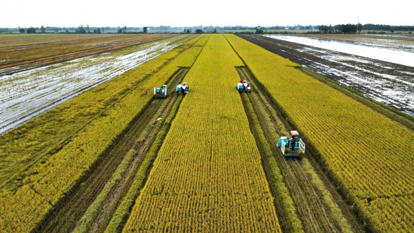 Sản xuất xanh để giảm ô nhiễm, tăng lợi nhuận -0